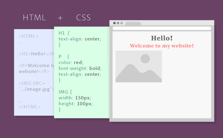 anatomy-html-css