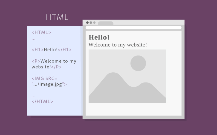 anatomy-html